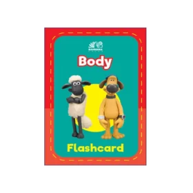 Body Flashcard